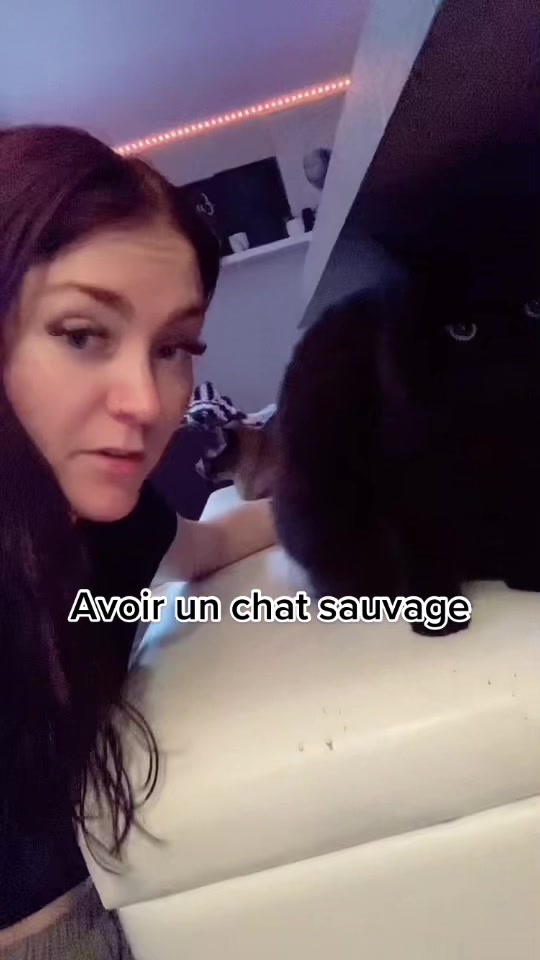 @Émilie Trudeau Verdi