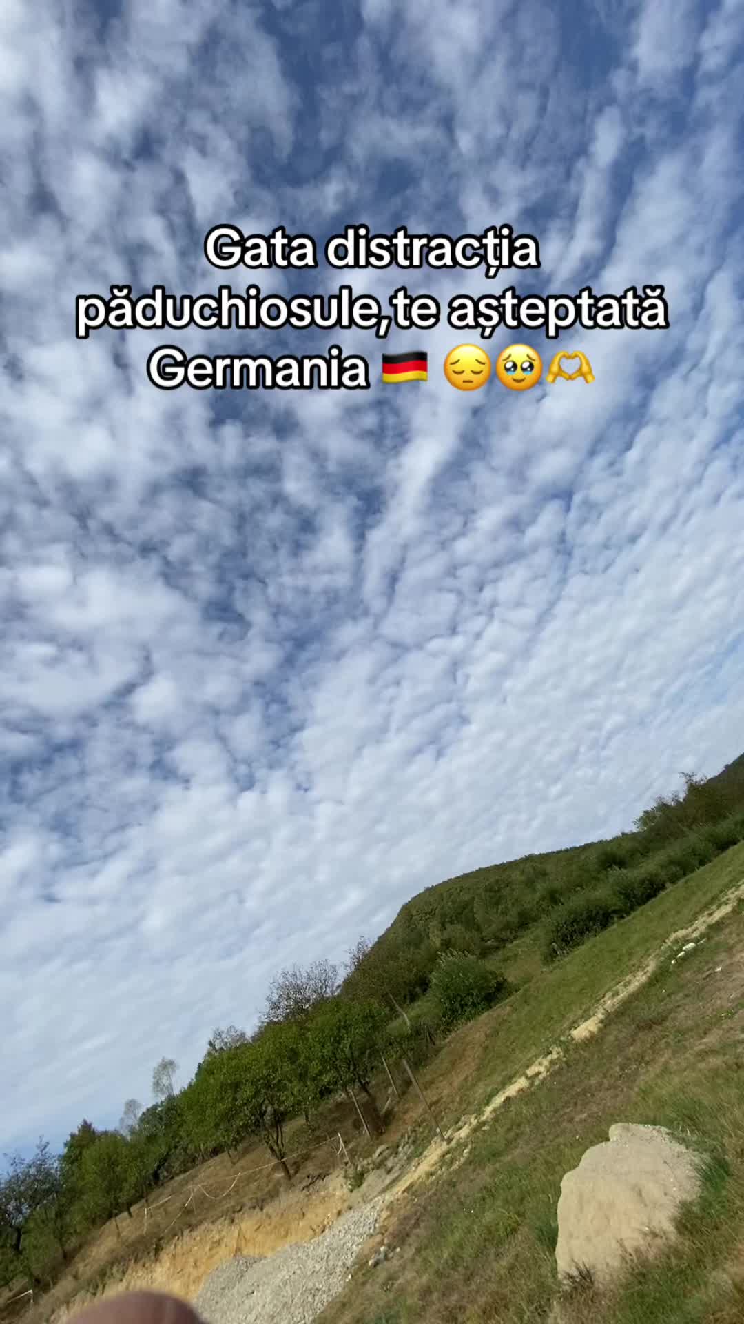 @radu