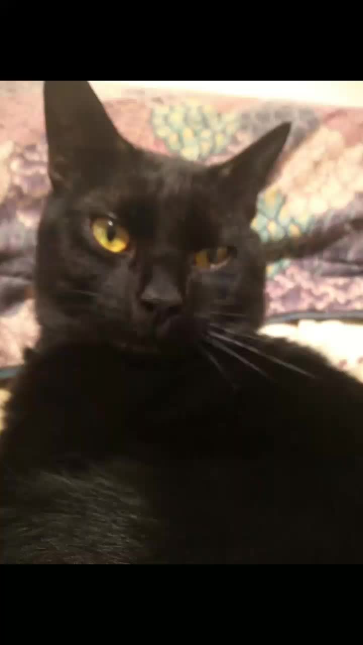 @😻👻☠Becca🕯🔮🙀