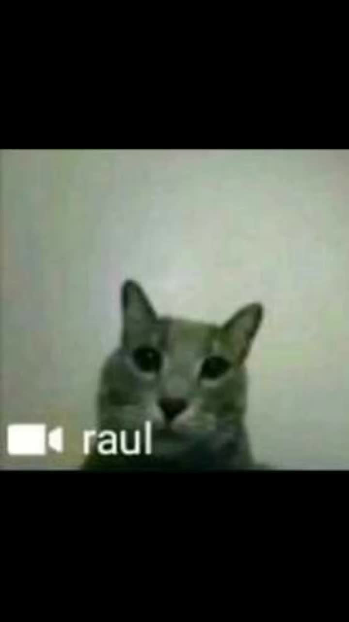 @౨ৎ ˖ ࣪ •𝐵𝑎𝑟𝑏𝑖•˖ ࣪ ౨ৎ