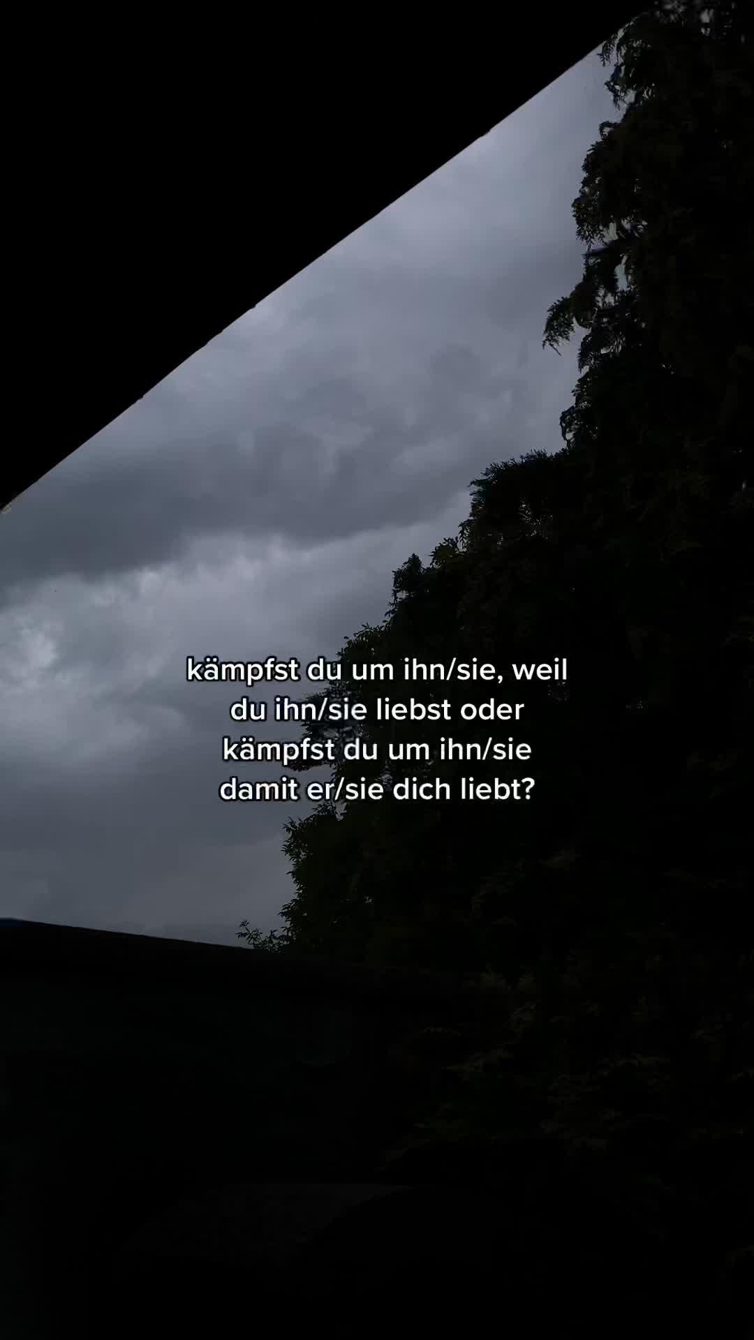 @cruiz78
