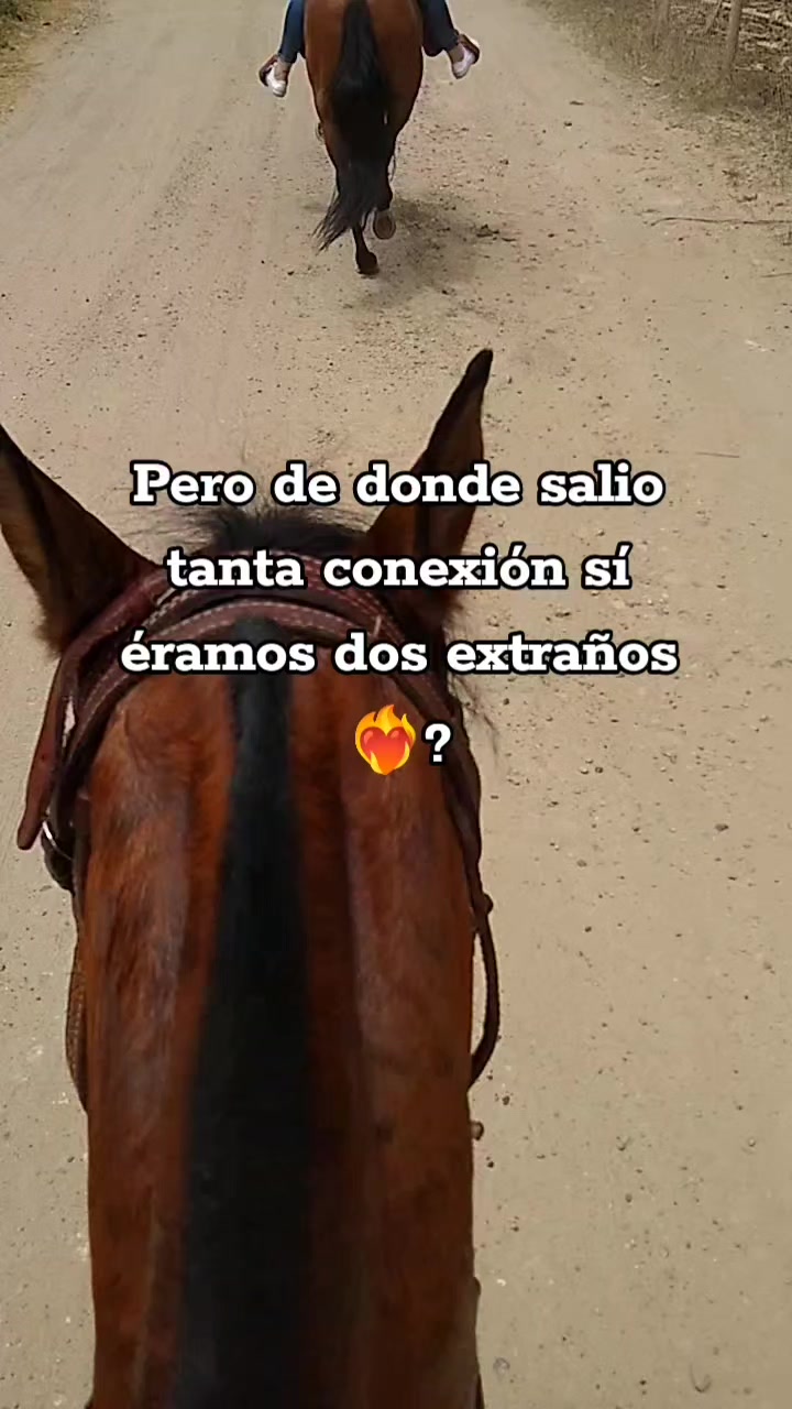 @Angélica Vanegas