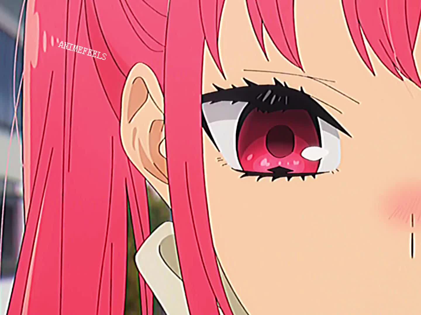 @Anime Feels