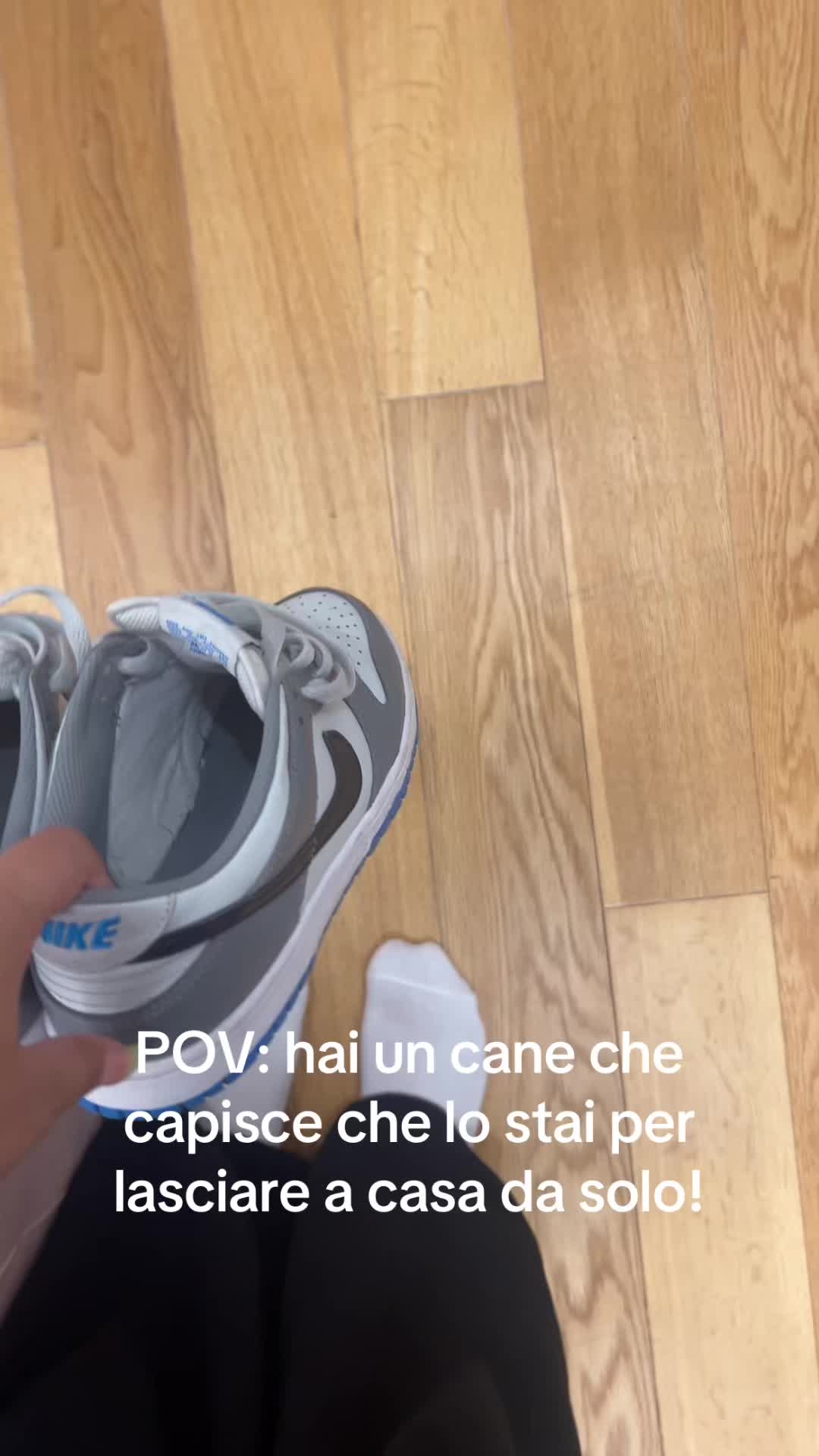 @Megan Della Peruta
