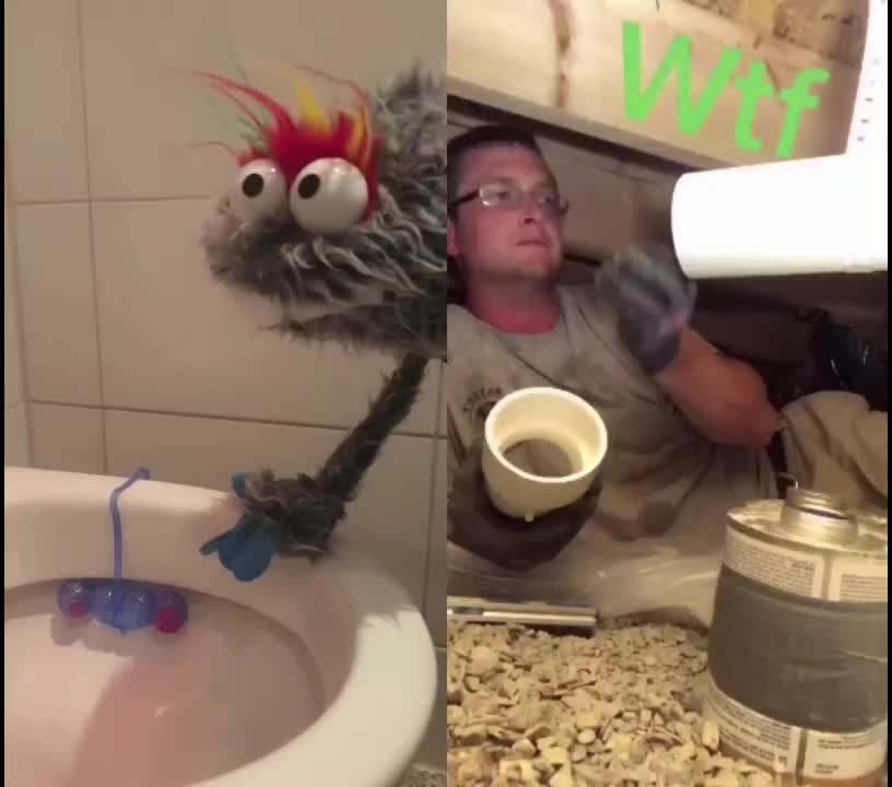 @AlphaKevin