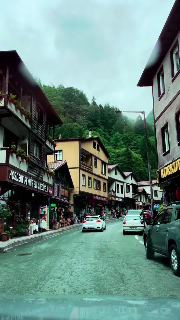 @travelerbedir