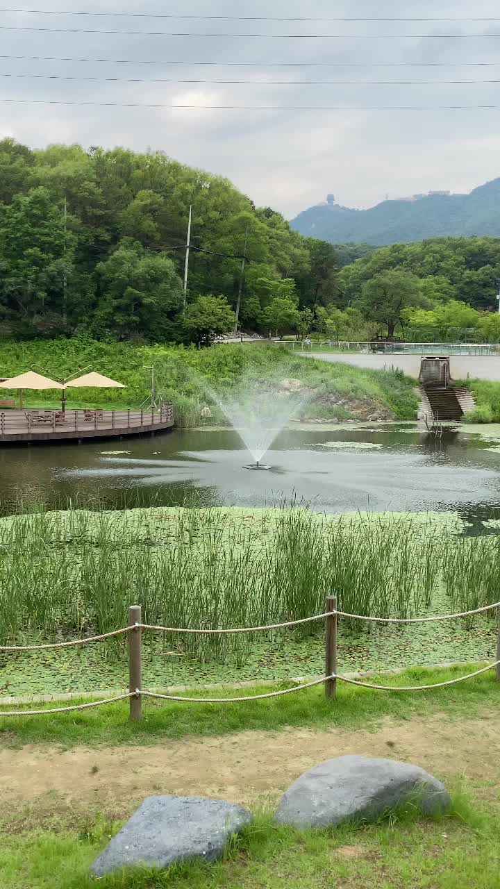 @미준™🌼Mijun™🇰🇷