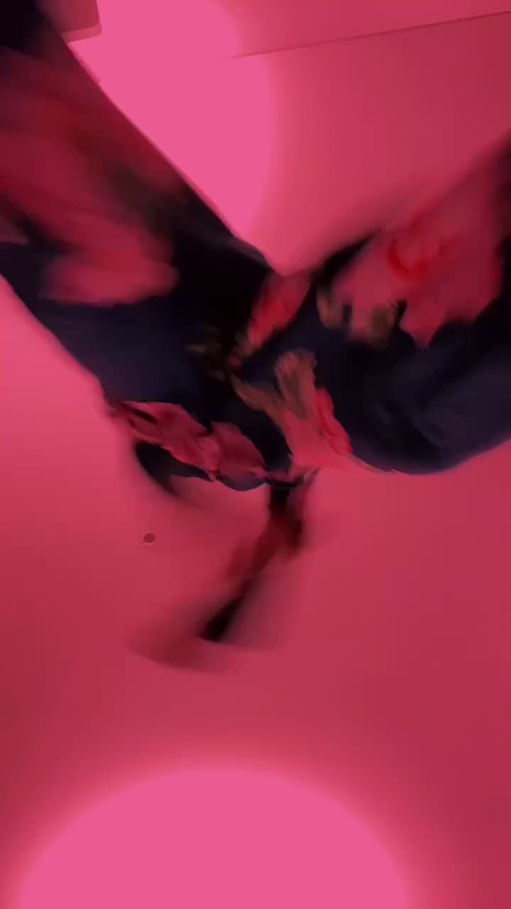 @KimmyG