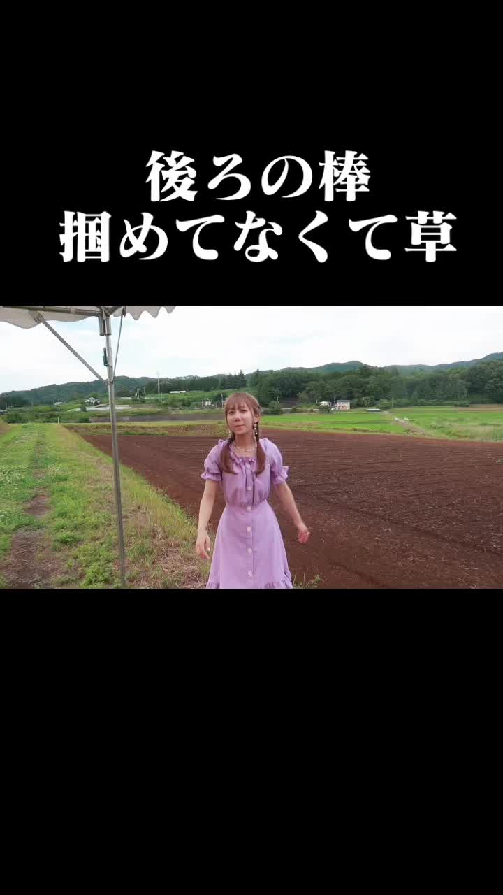 @きりたんぽ🍥