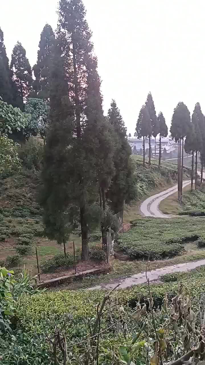 @Kanyam Village Cottage