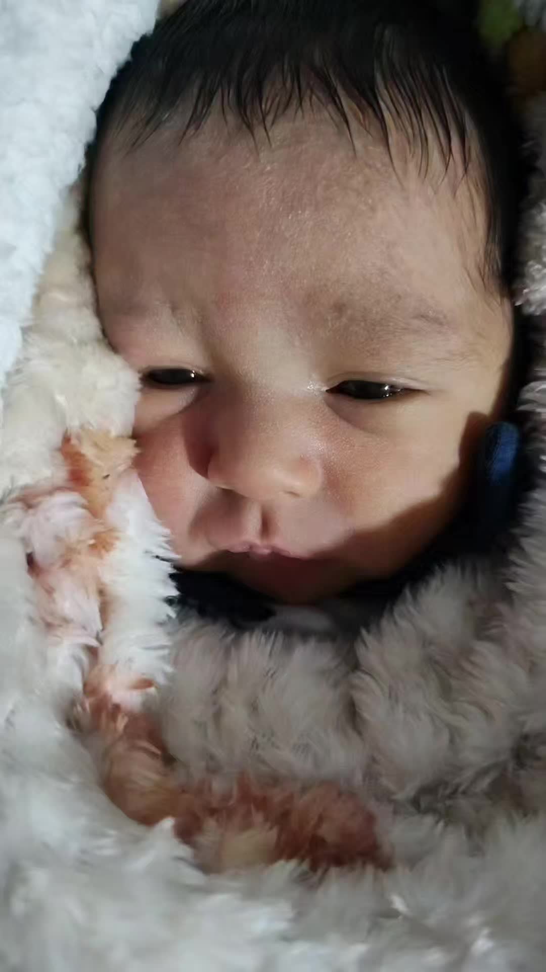 @Vanessa Dorberto