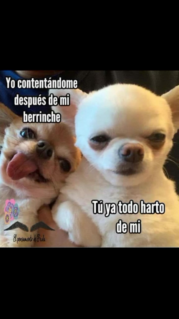 @memesxd