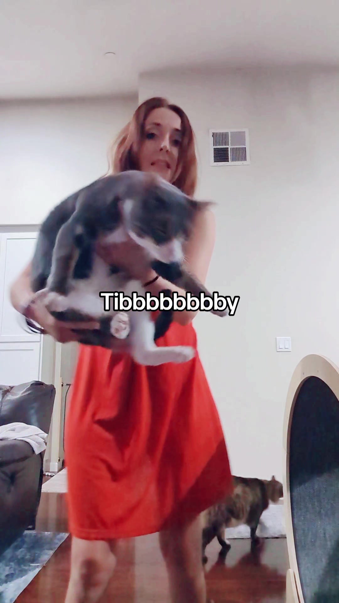 @BuffyTheKittenSpayer