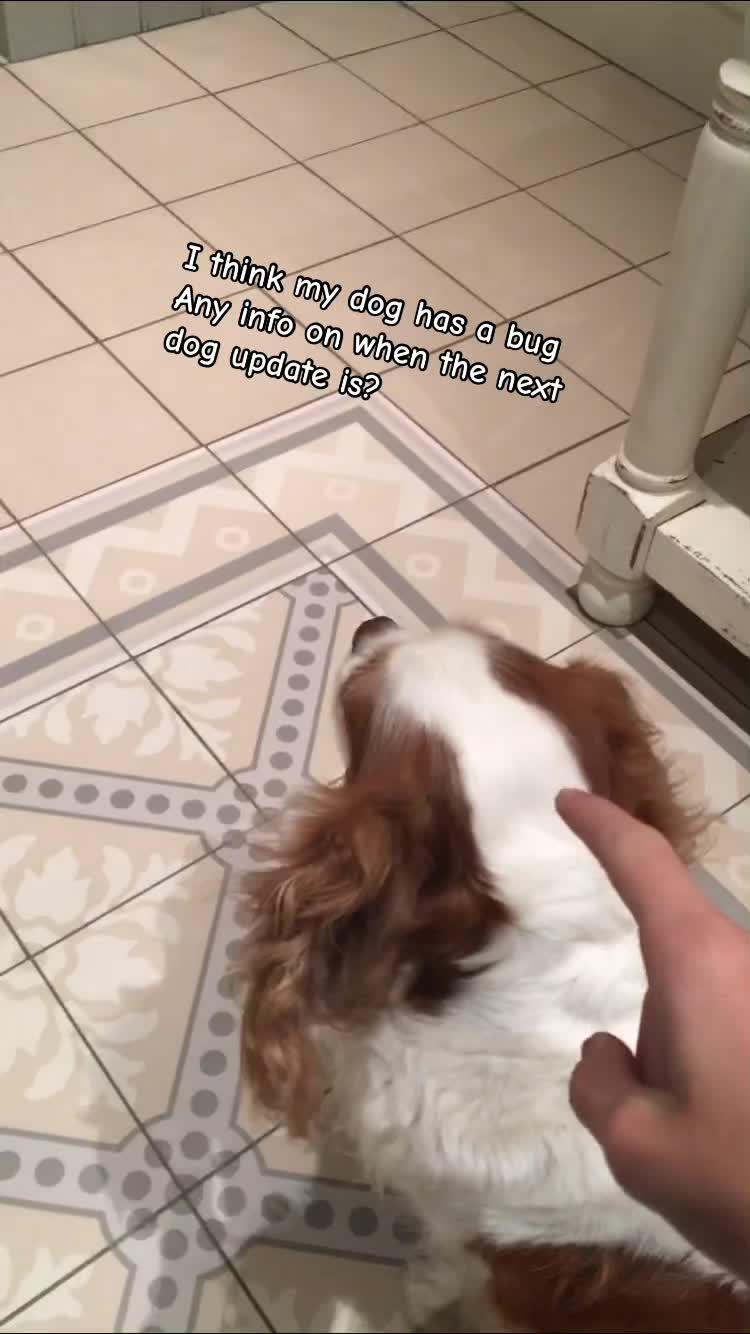 @contentdumpertruck