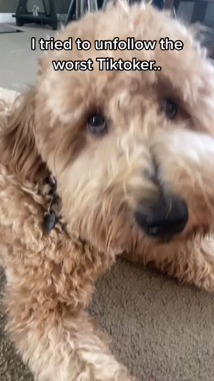 @indie.doodle