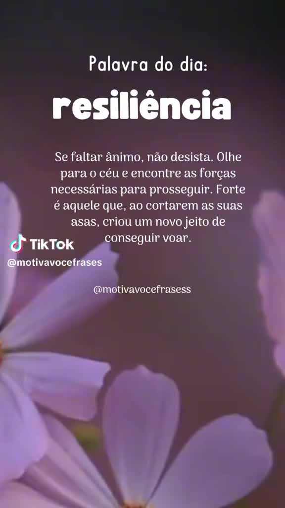 @mileiderferreira