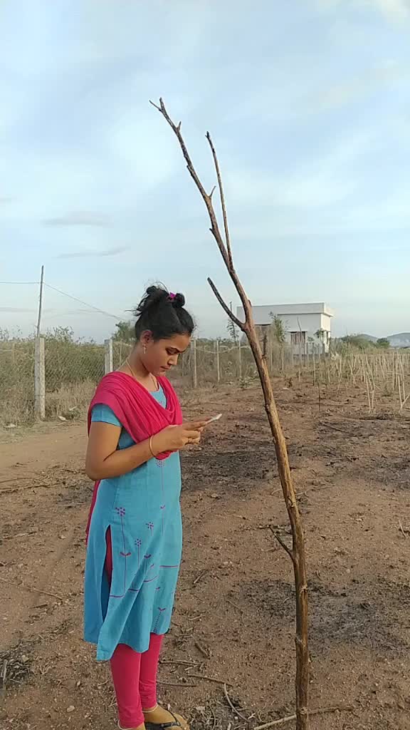 @vanaja - medagam