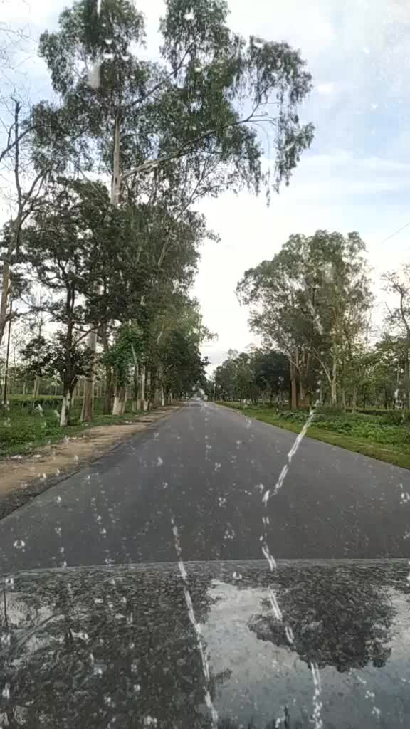 @Parbina Sonowal