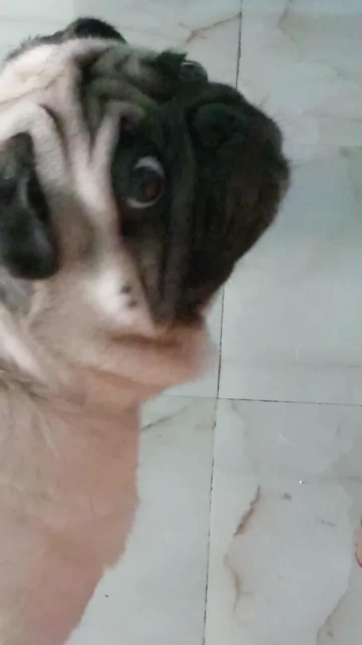 @chandhini_s