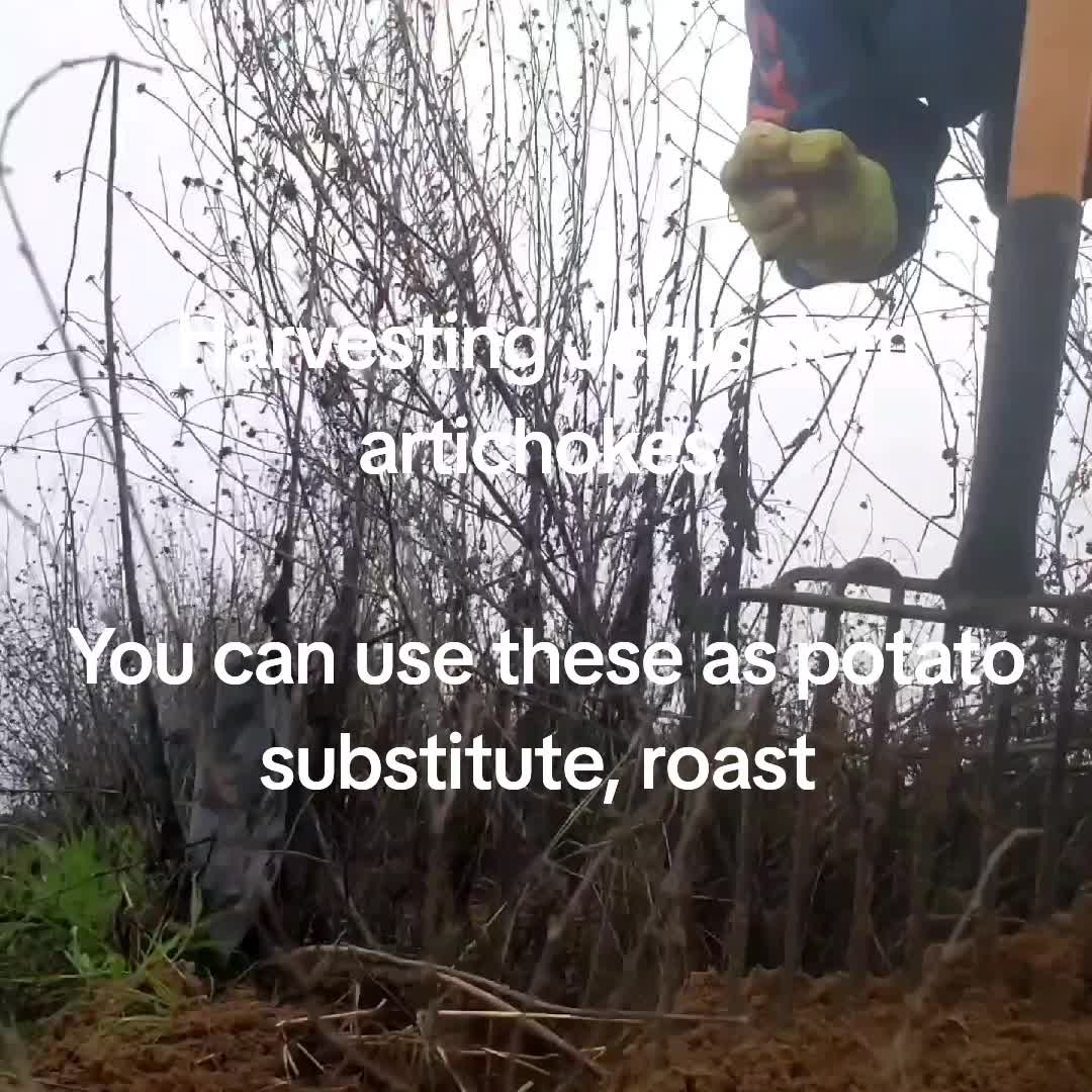 @guzmanproduce