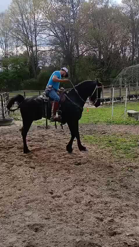 @joserefugiodiaz49