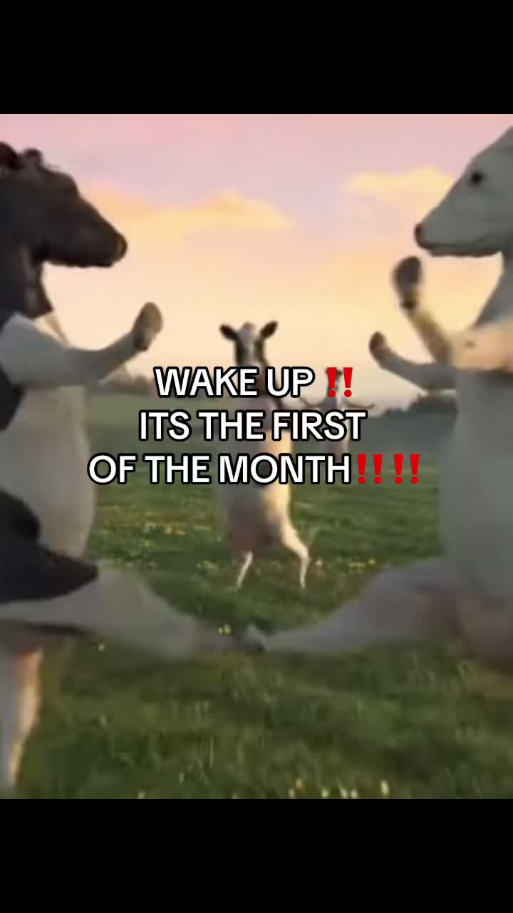 @noah