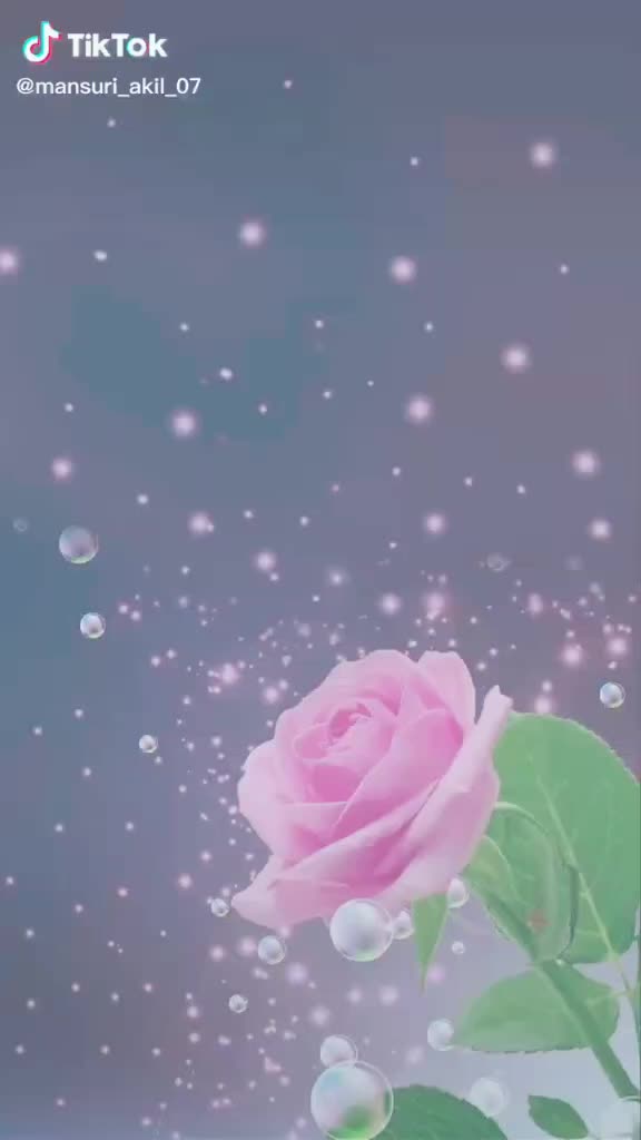 @raja singh rajputRSR