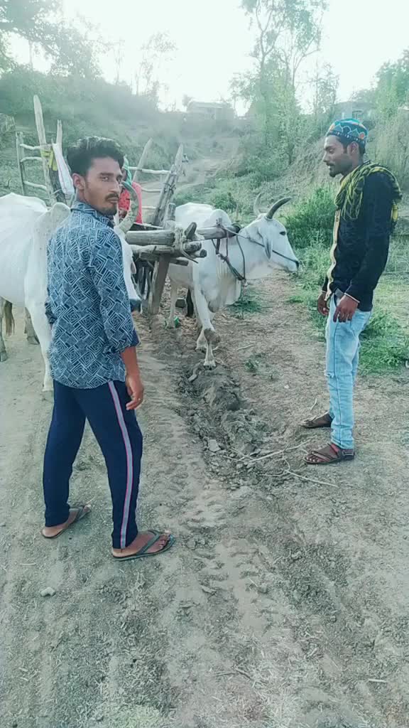@user52970610659