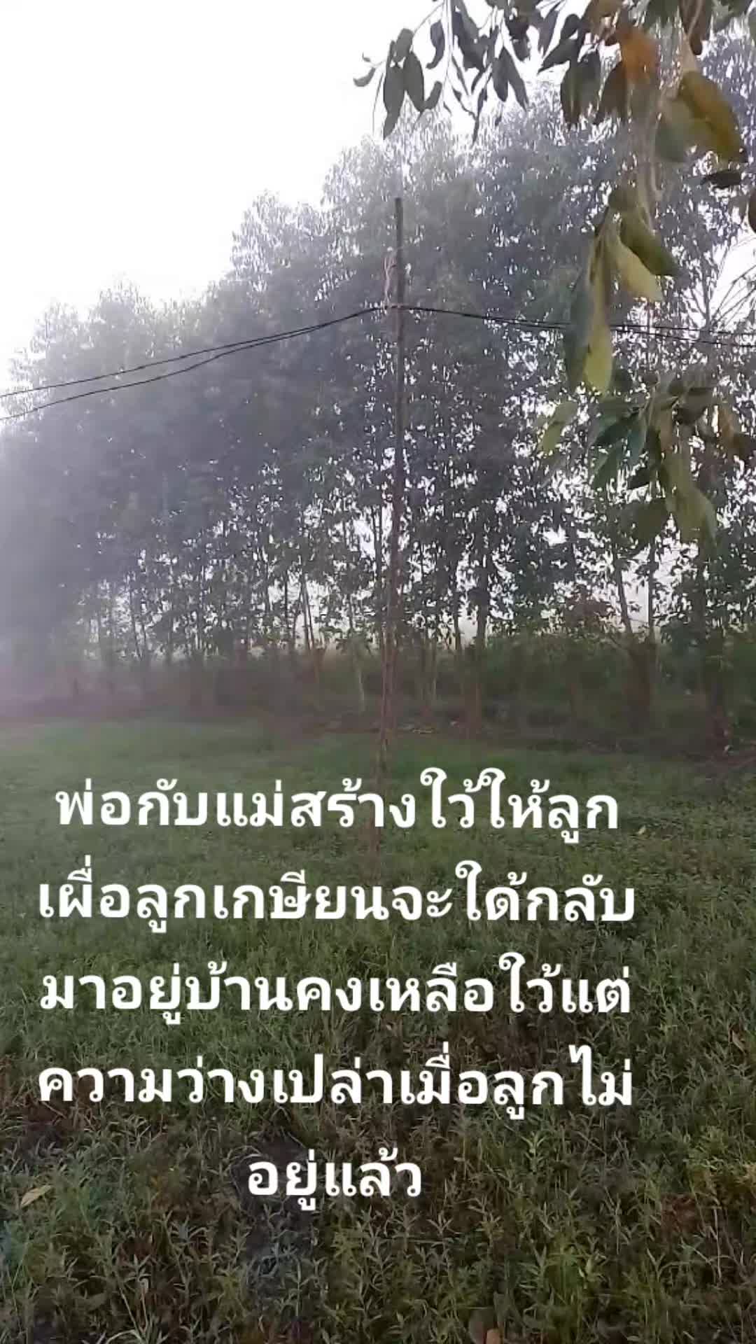 @ทอง