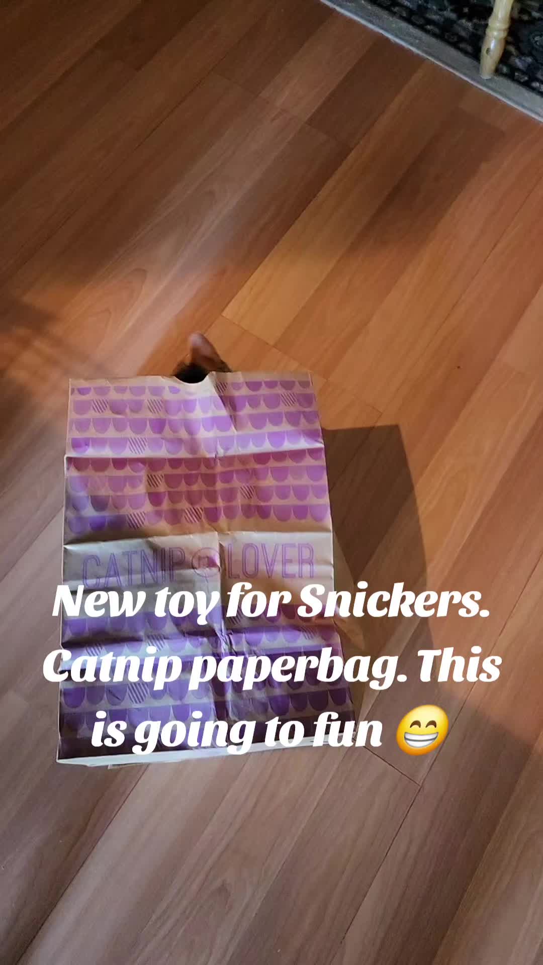 @stacymonfriesessentialoils