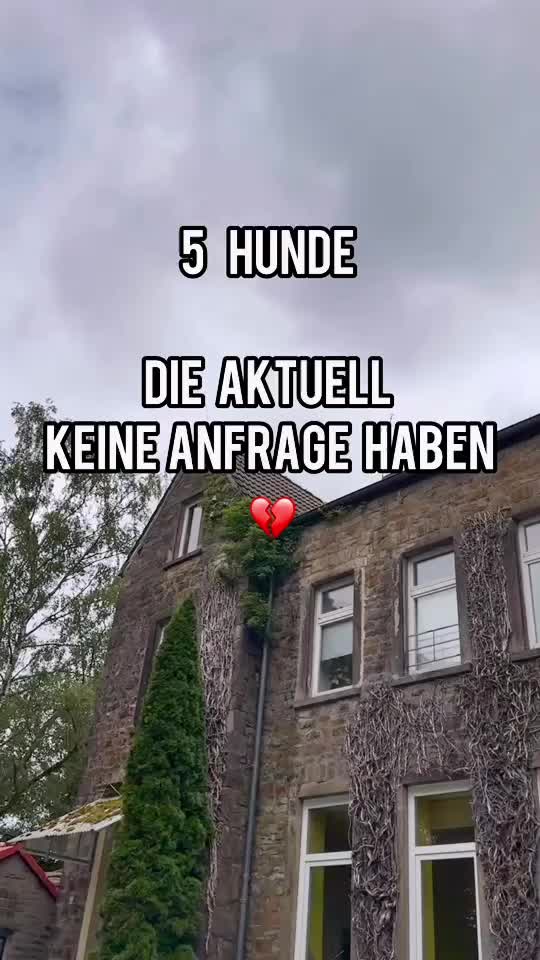 @Tierheim Witten e.V.