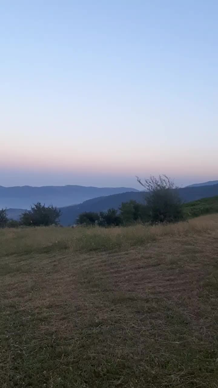 @Talısh🦅