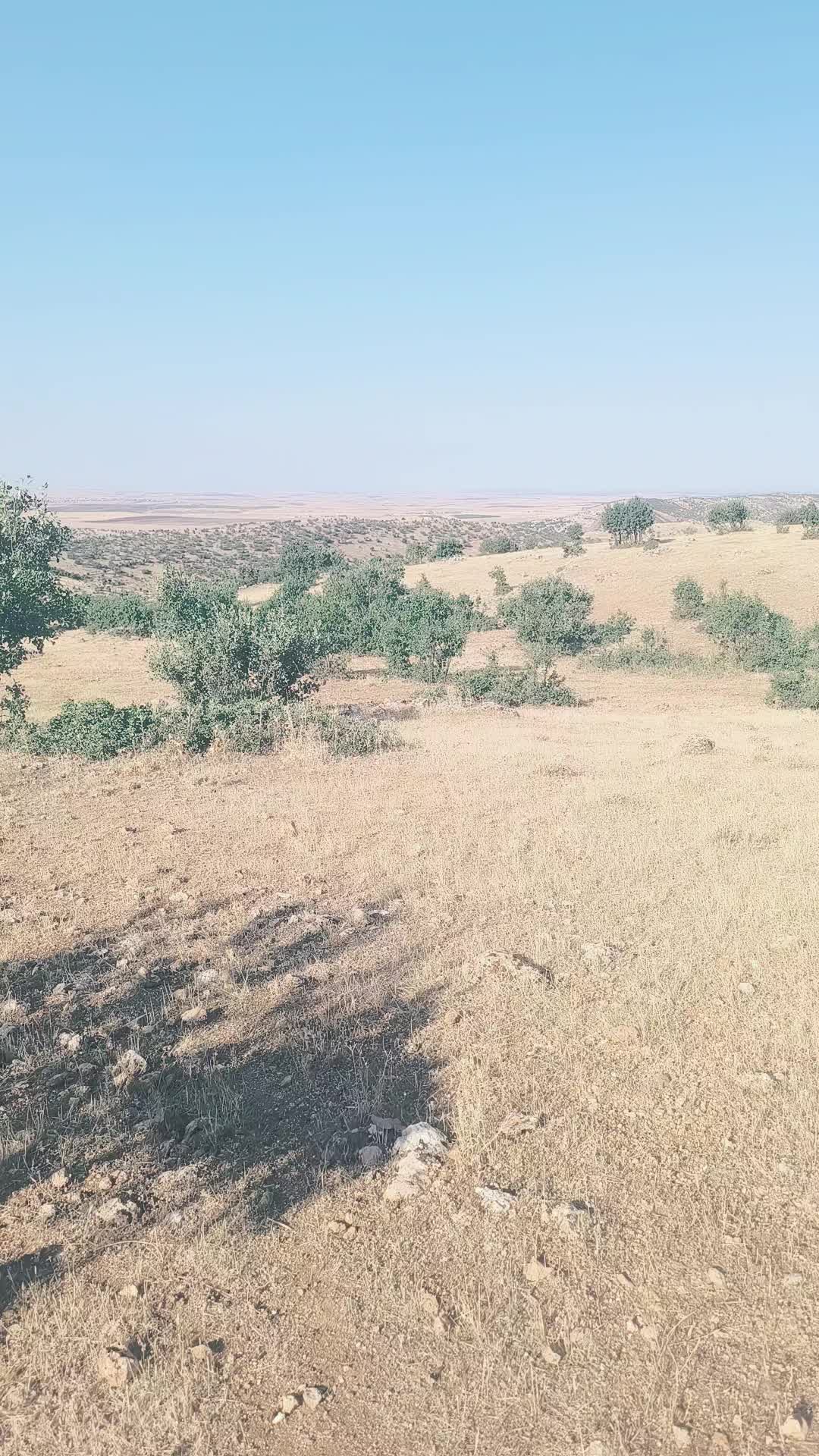 @Ömer Kaydaş
