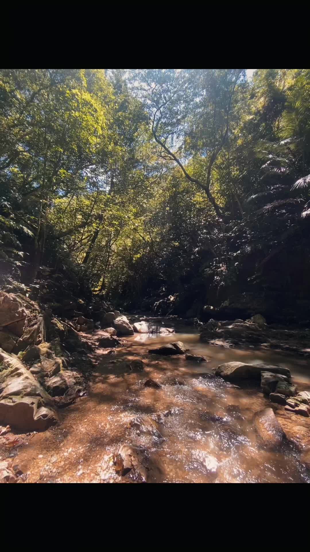 @IG_Okinawa
