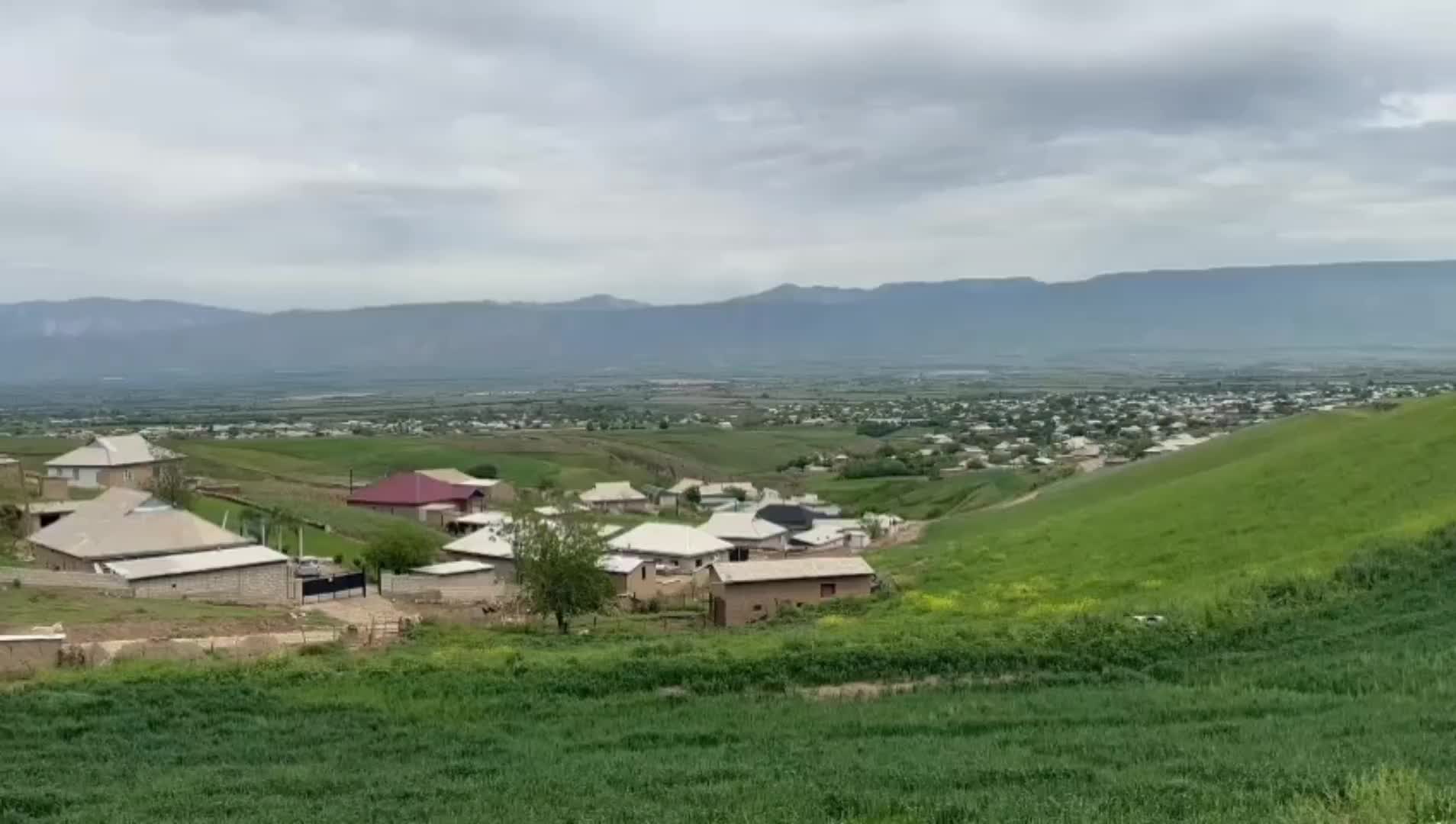 @Safari__yovoni