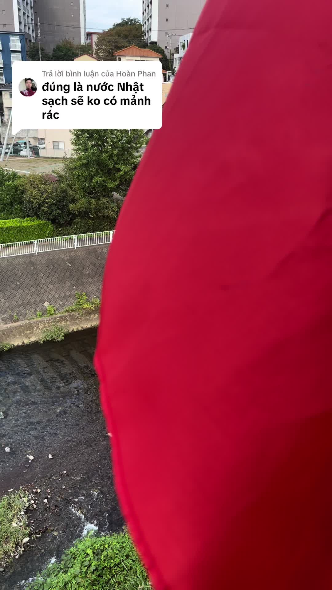 @🍀❤️Mến Mến🇻🇳🇯🇵❤️🍀