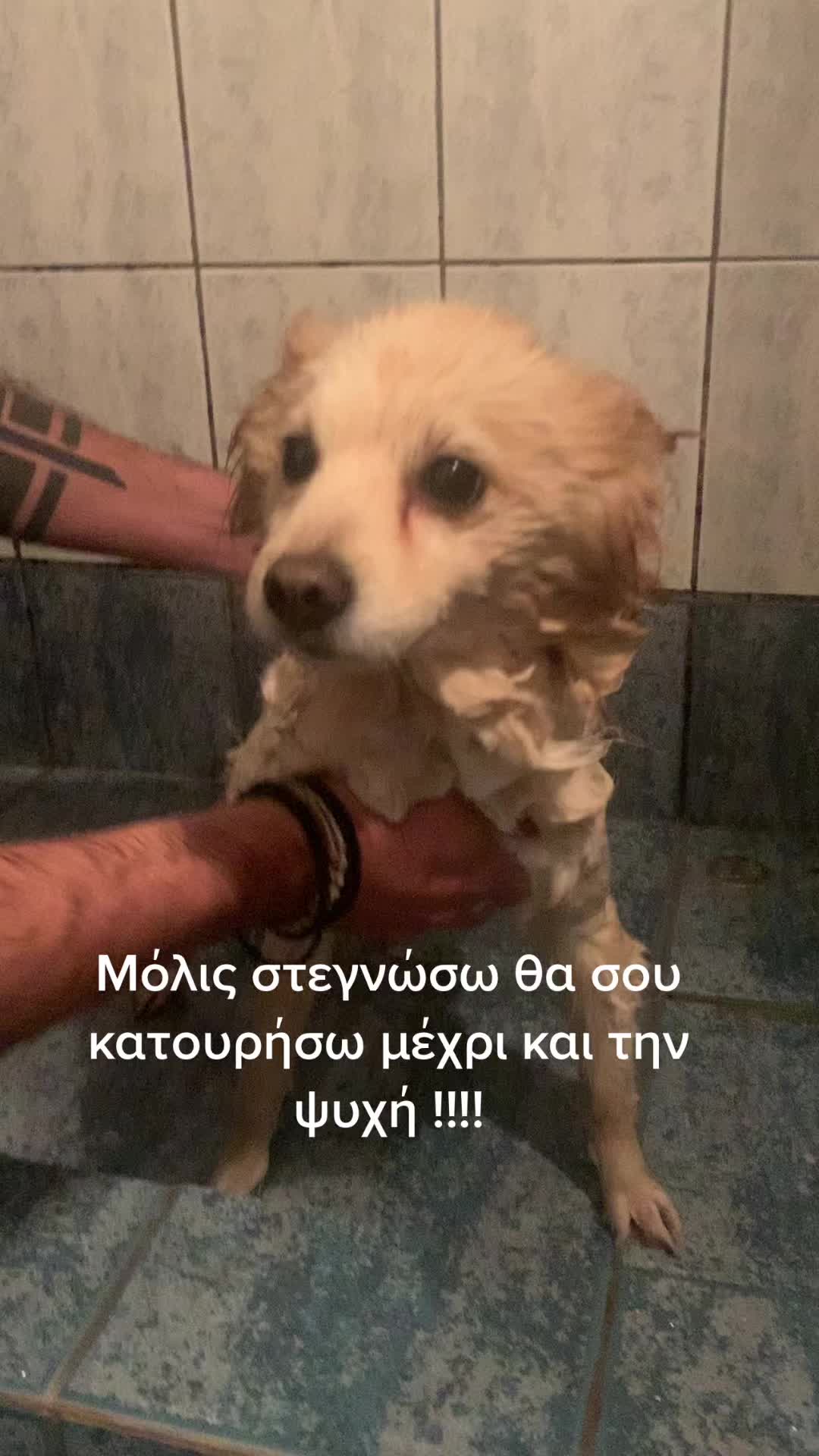 @Fotis Nikou