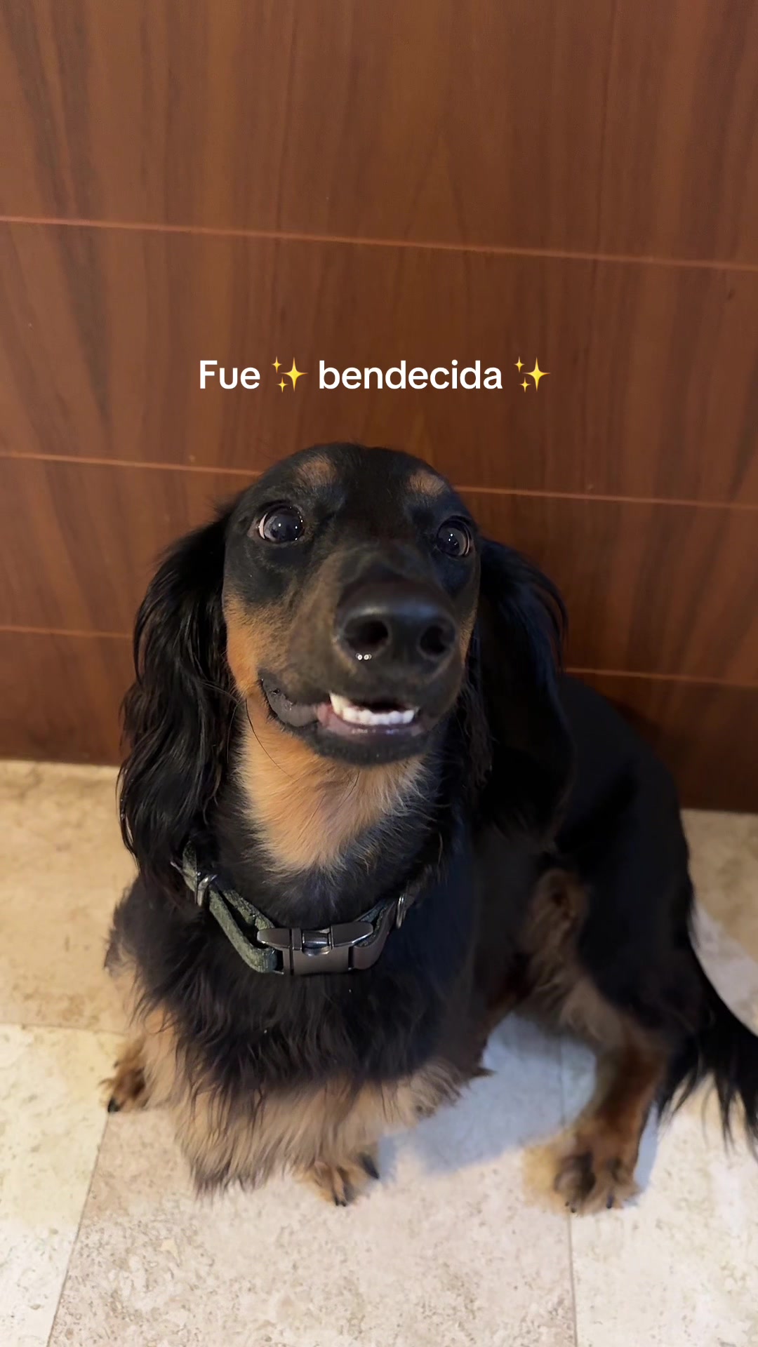 @Estela Pardo