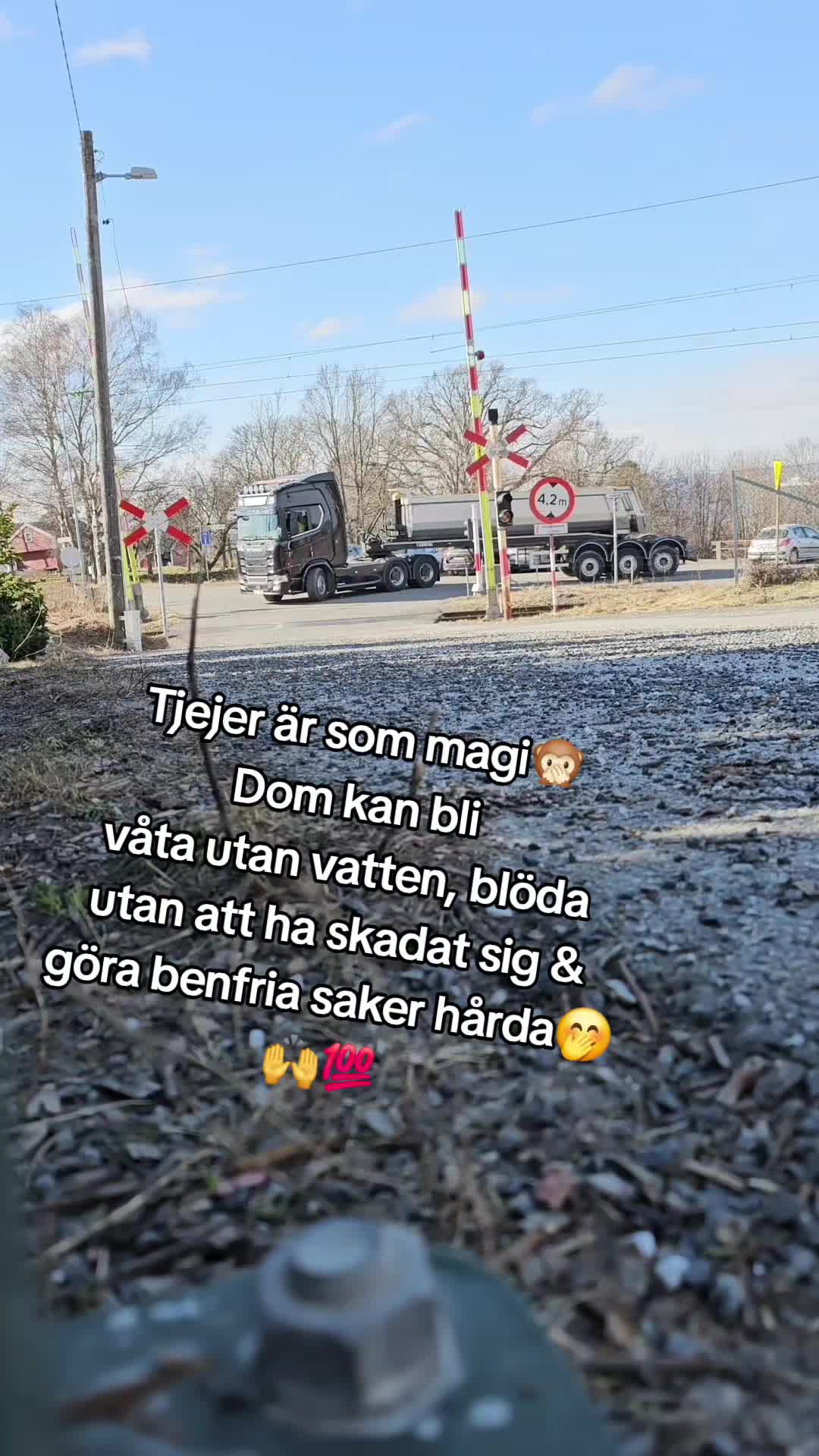 @kim
