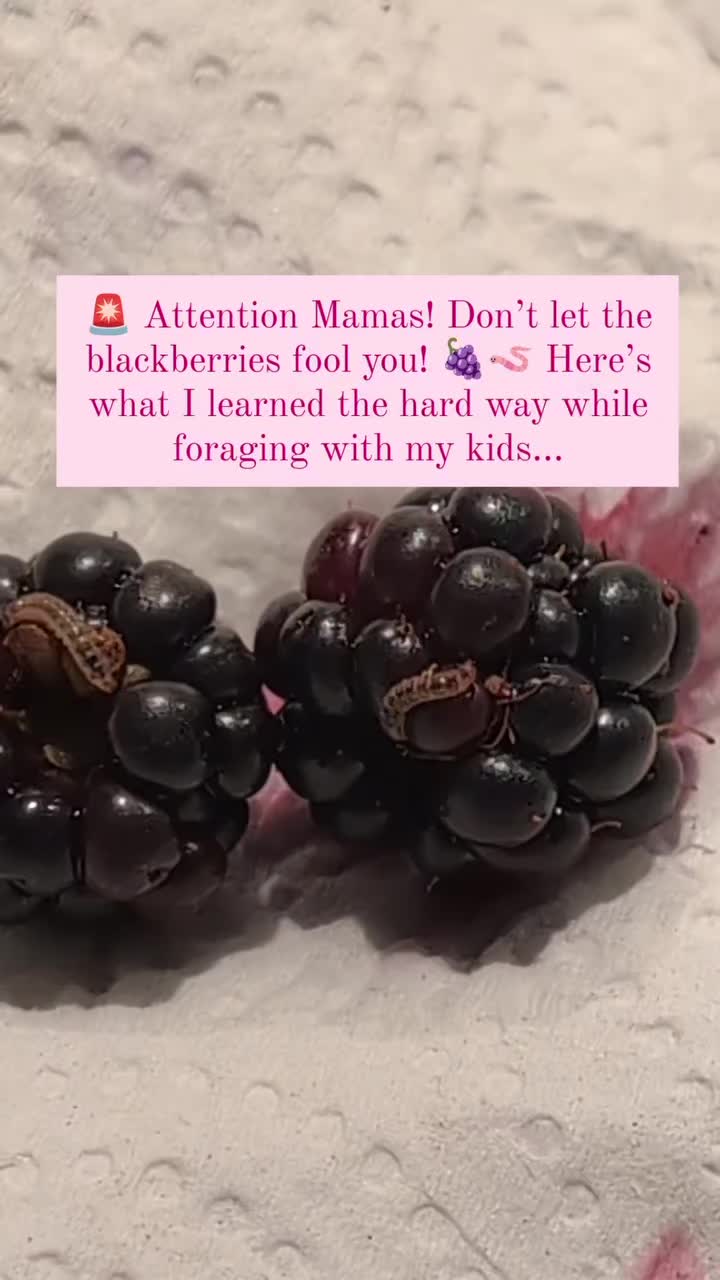 @Mama Wealth Guide
