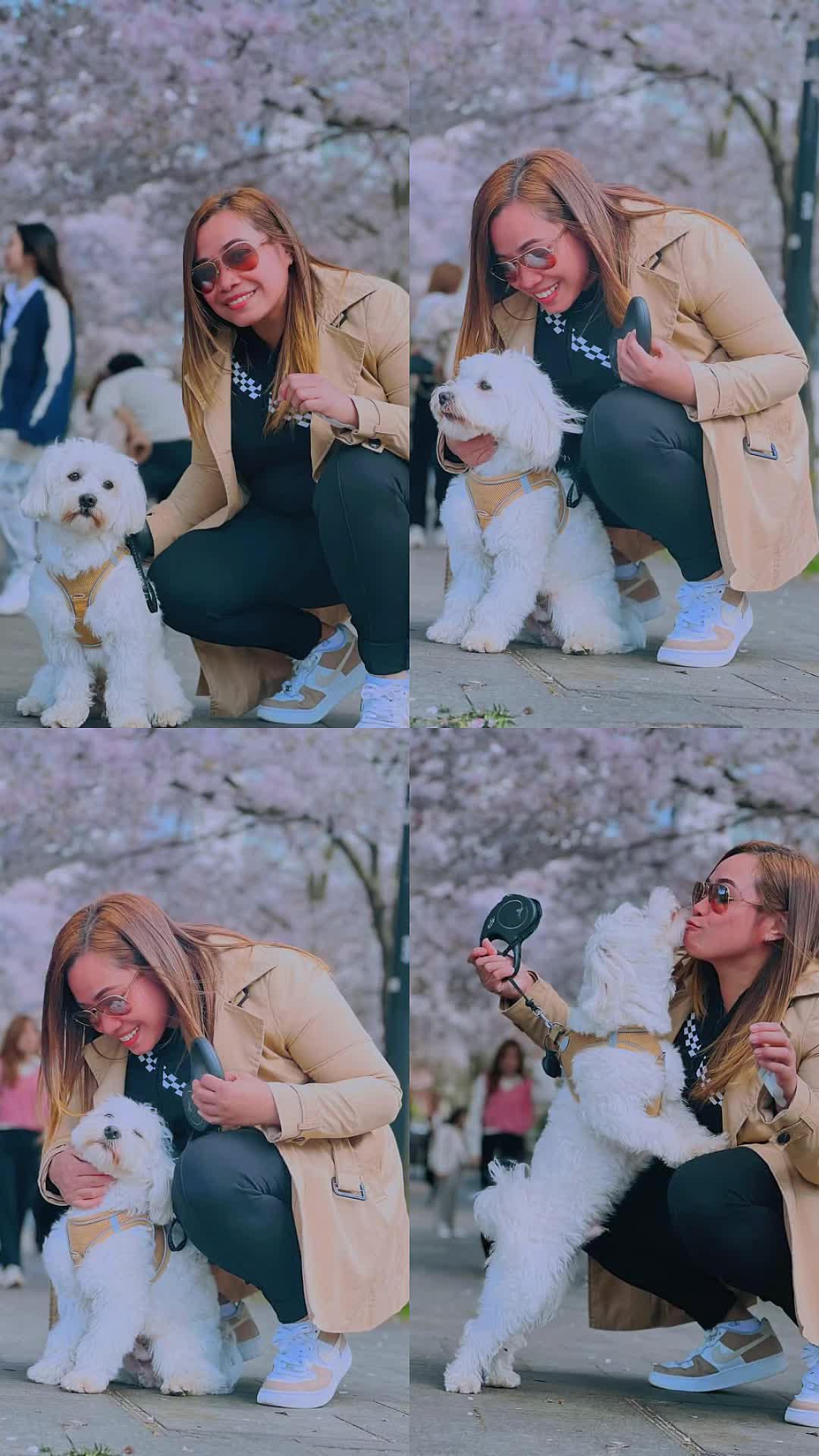 @🎀Ms.Hachieco🏳️🌈🇬🇧