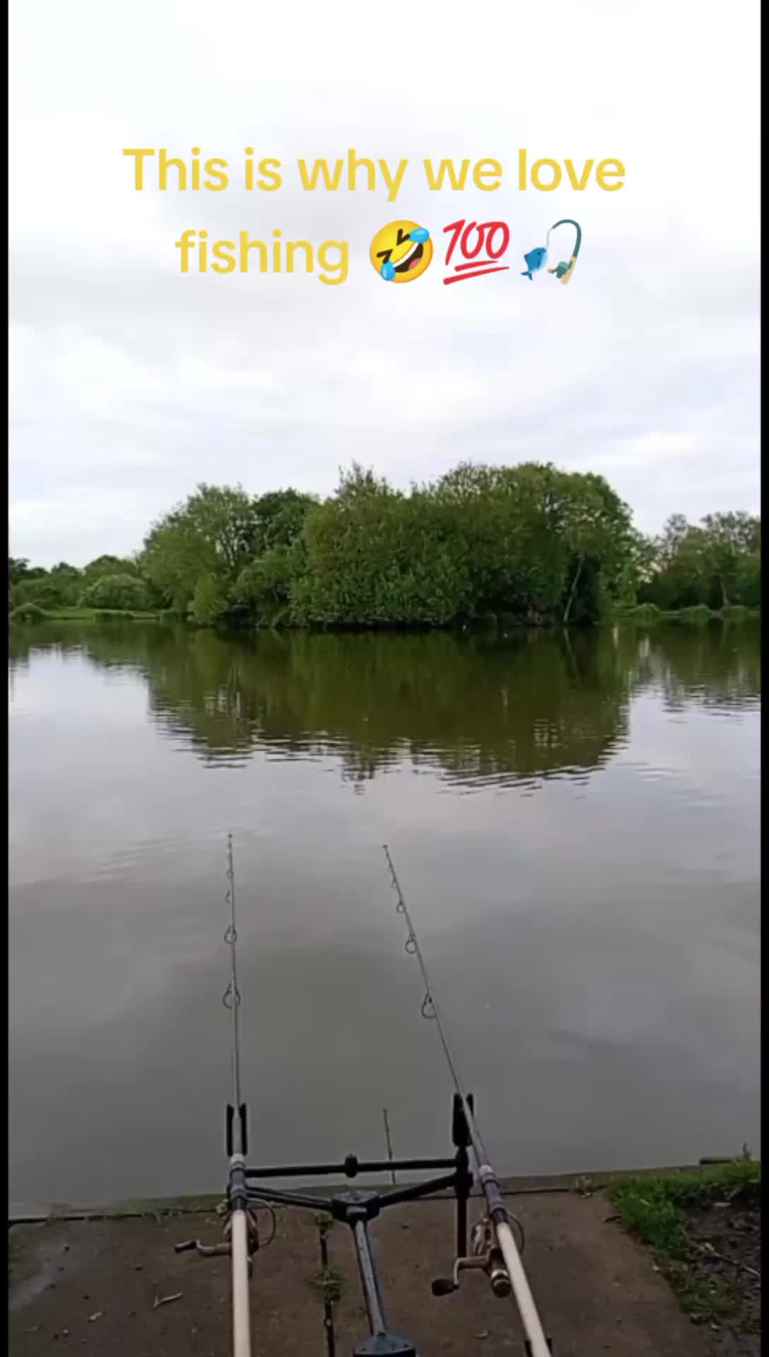 @the_carp_bois