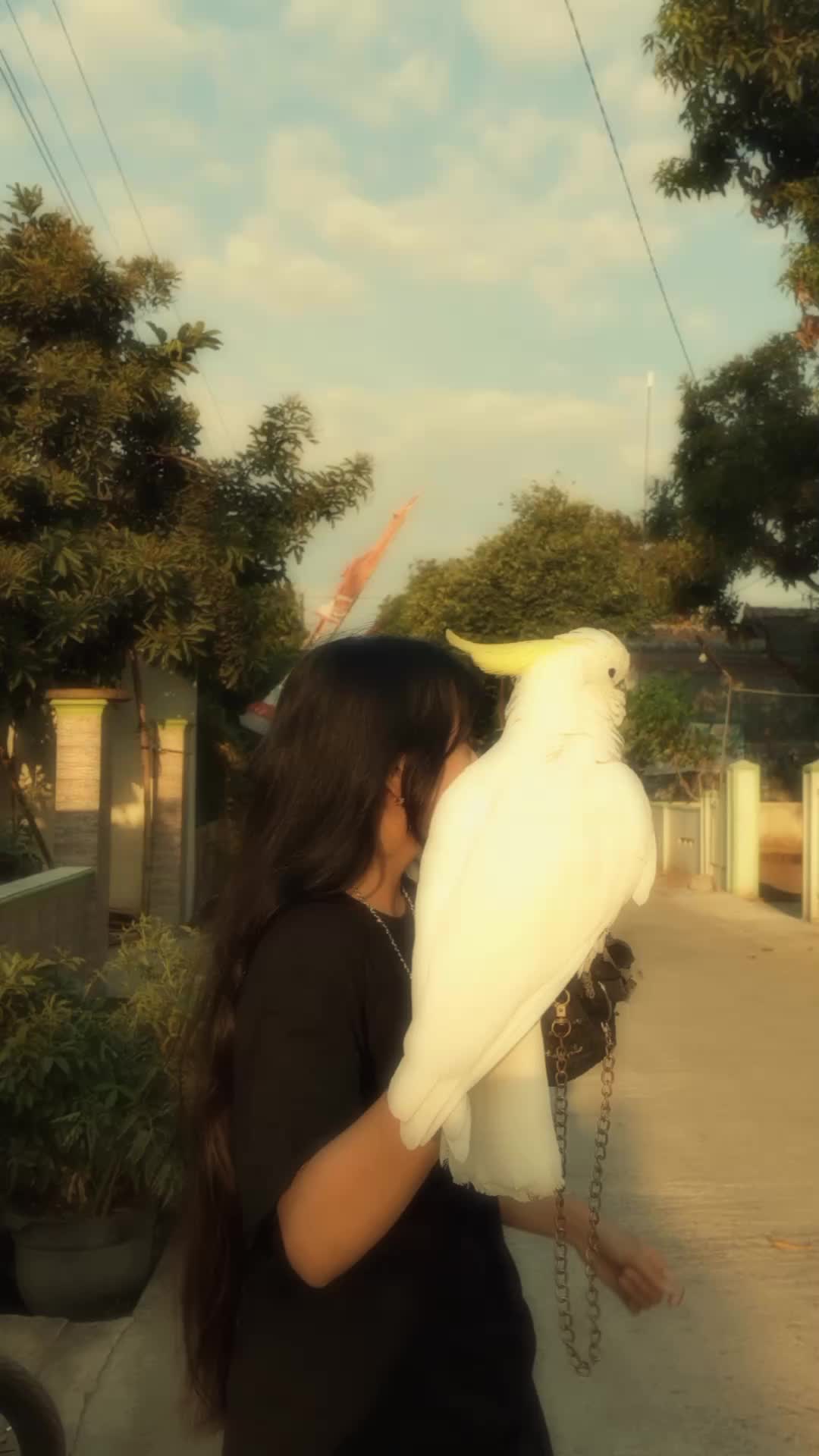 @ダイヤモンド🦊