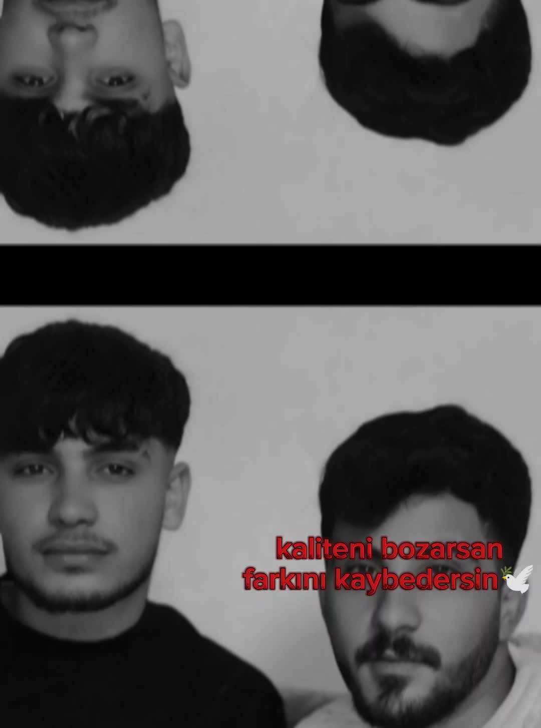 @🥷