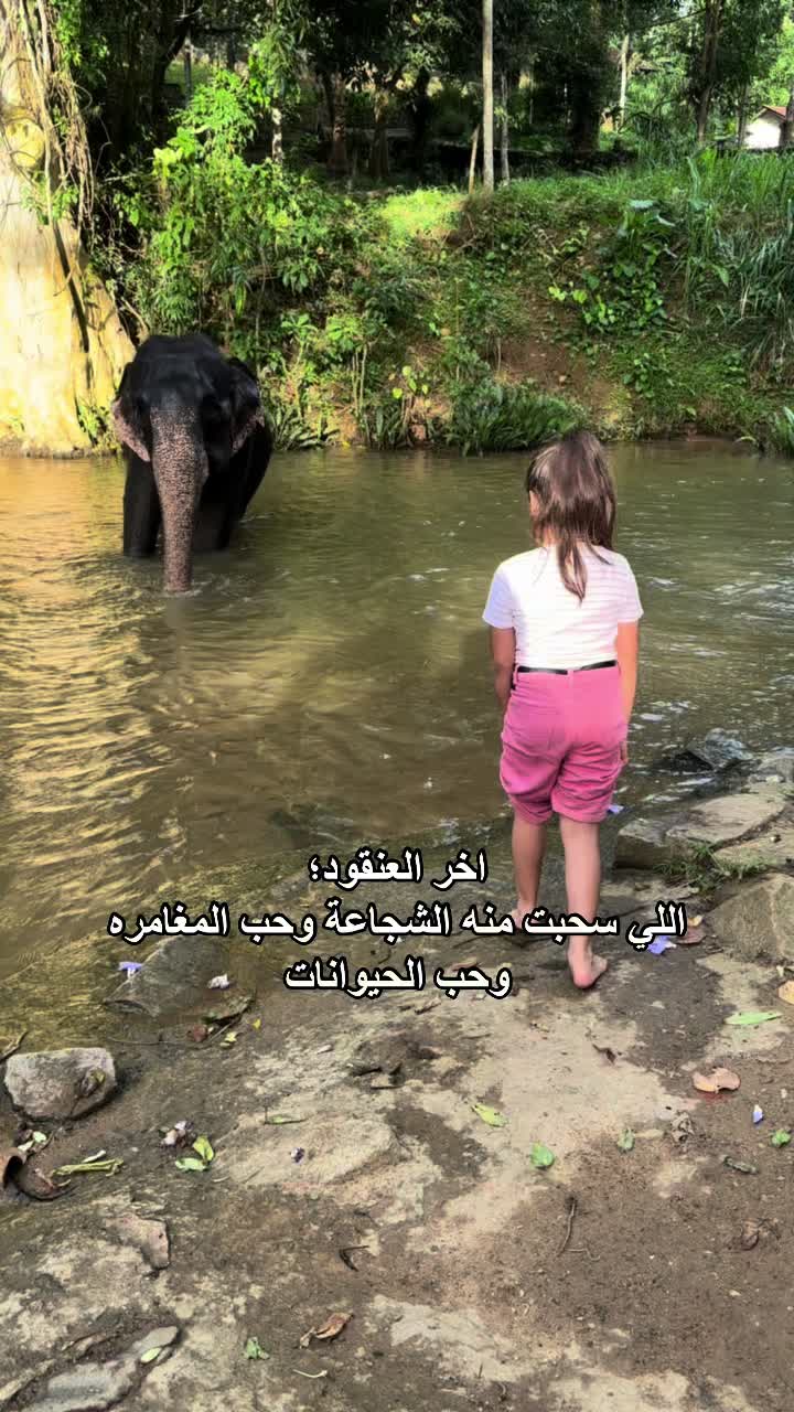 @عليا🇦🇪