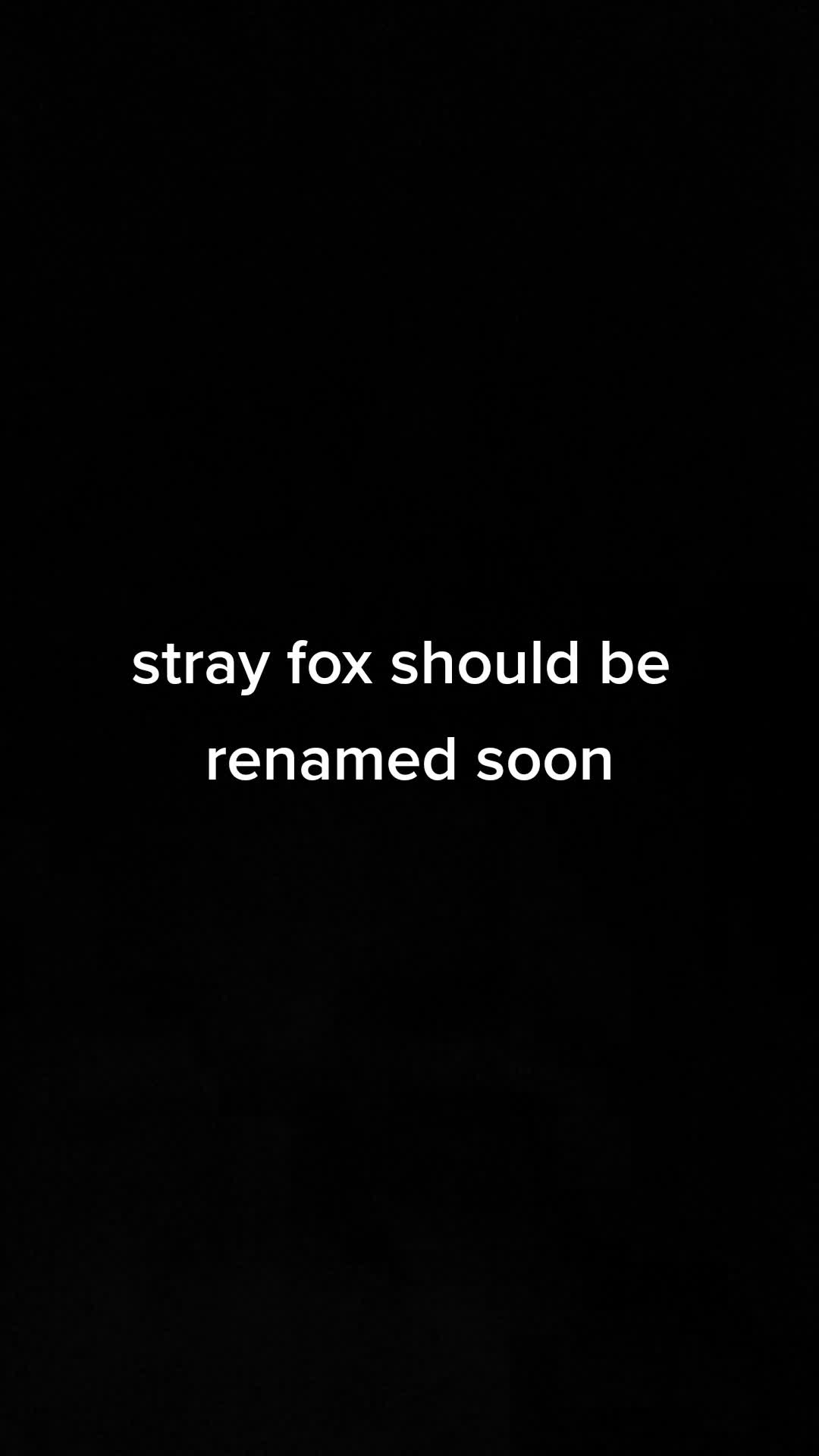 @Ferret Theory