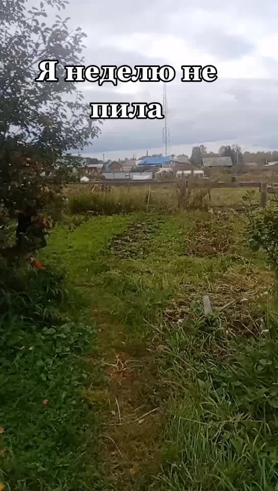 @Клеопатра263