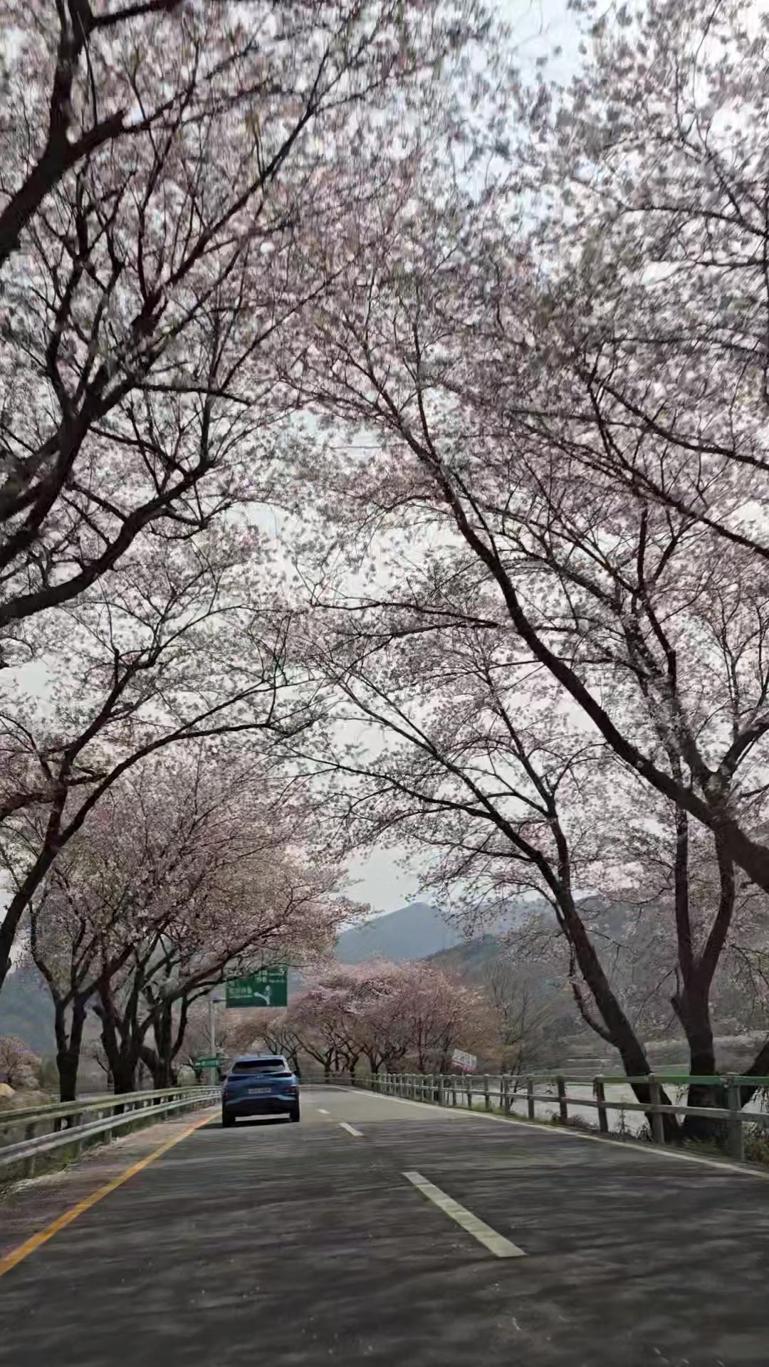 @훨훨~~^@^