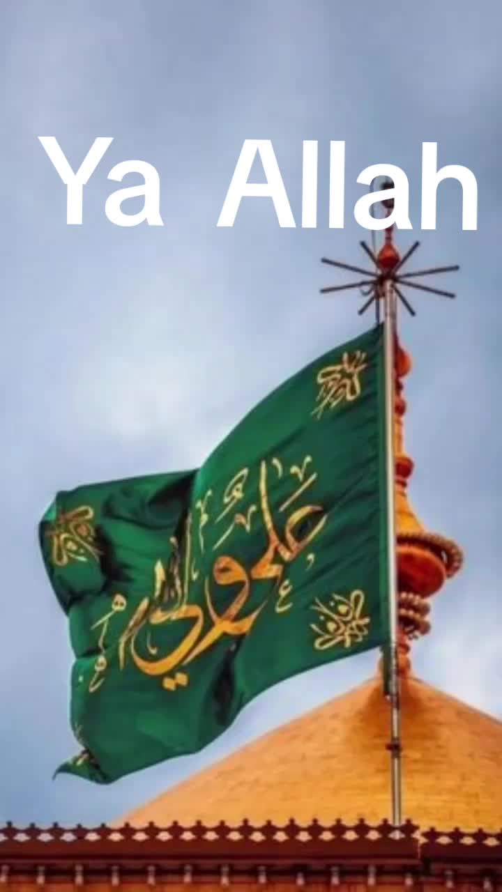 @Togrulnureddinoglu