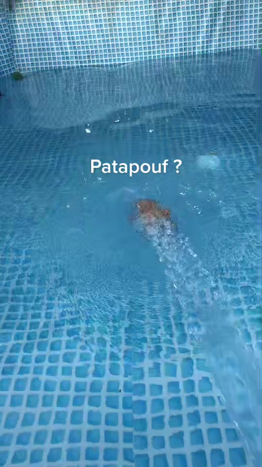 @Patapouf
